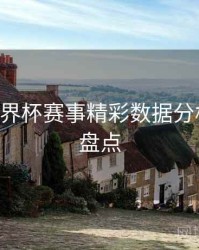 B体育世界杯赛事精彩数据分析｜功能盘点