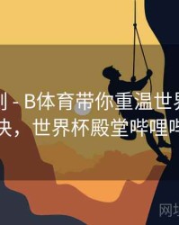 高光时刻 - B体育带你重温世界杯巅峰对决，世界杯殿堂哔哩哔哩