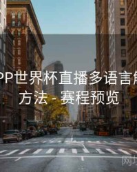 B体育APP世界杯直播多语言解说切换方法 - 赛程预览