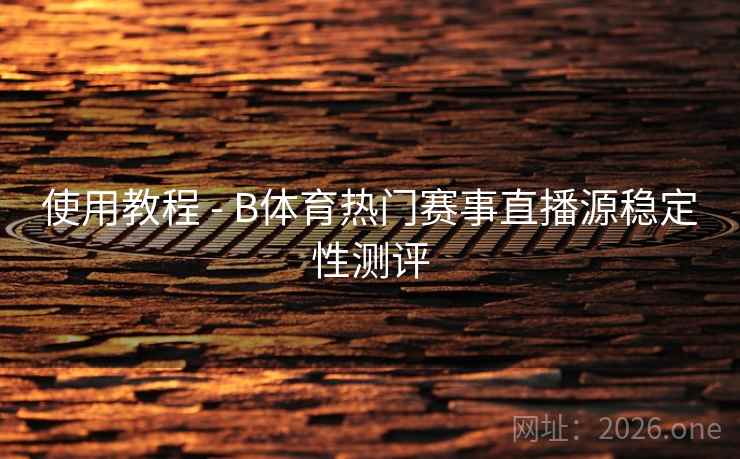 使用教程 - B体育热门赛事直播源稳定性测评