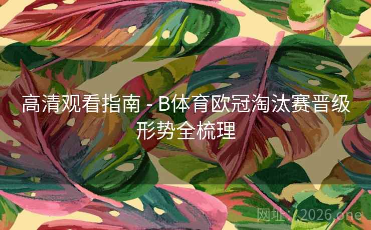 高清观看指南 - B体育欧冠淘汰赛晋级形势全梳理