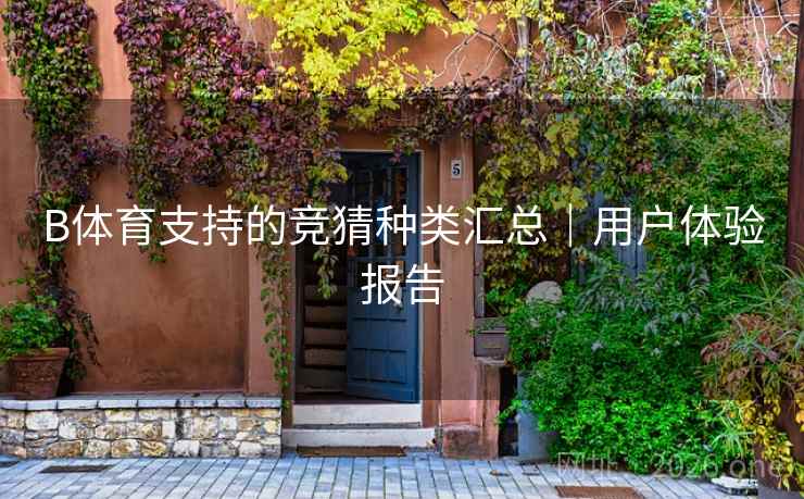 B体育支持的竞猜种类汇总｜用户体验报告