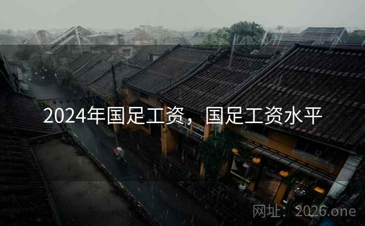 2024年国足工资，国足工资水平