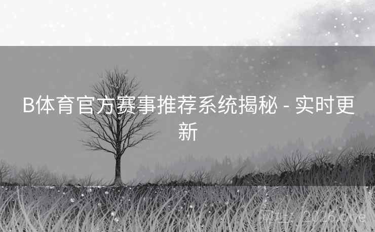 B体育官方赛事推荐系统揭秘 - 实时更新