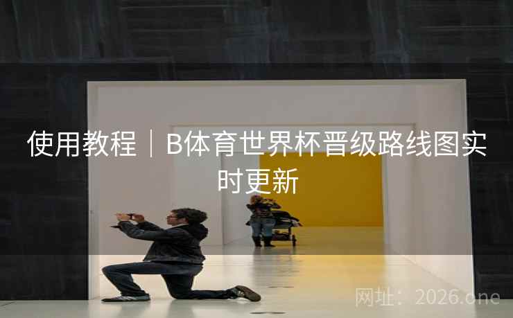 使用教程｜B体育世界杯晋级路线图实时更新