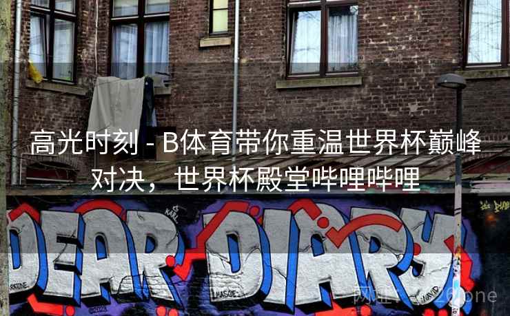 高光时刻 - B体育带你重温世界杯巅峰对决，世界杯殿堂哔哩哔哩