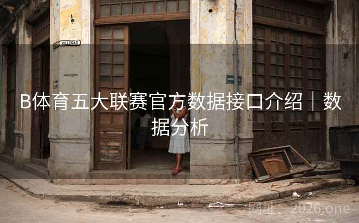 B体育五大联赛官方数据接口介绍｜数据分析