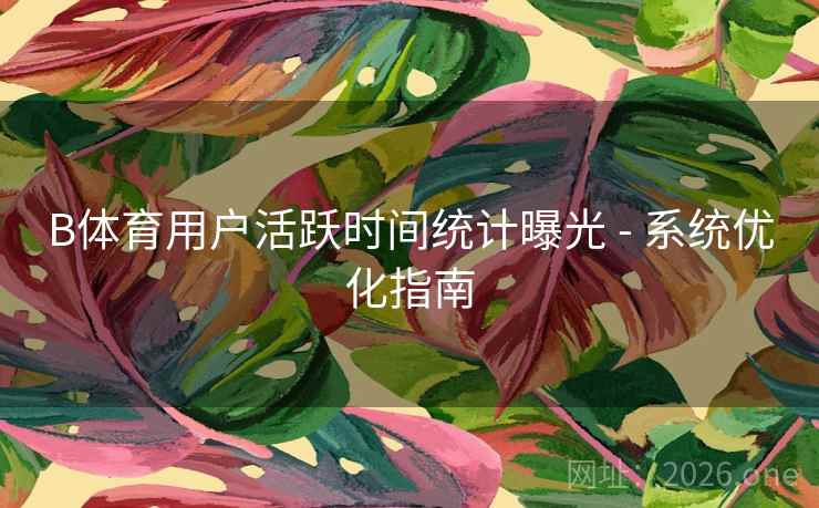 B体育用户活跃时间统计曝光 - 系统优化指南