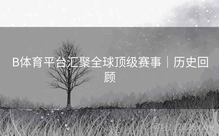 B体育平台汇聚全球顶级赛事｜历史回顾