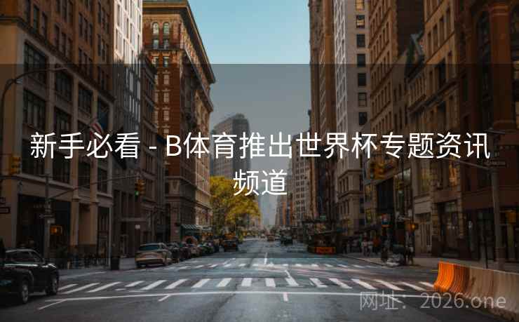 新手必看 - B体育推出世界杯专题资讯频道