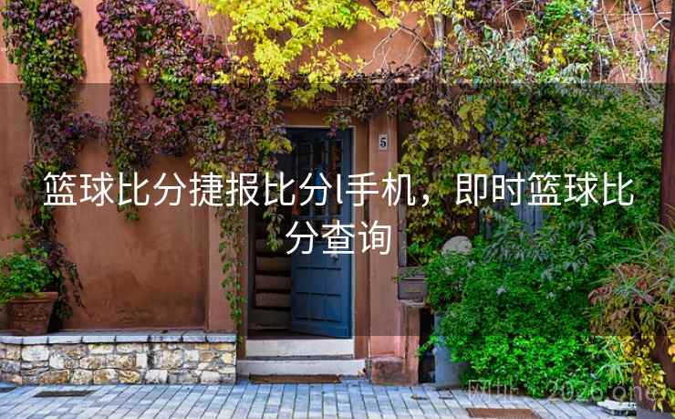 篮球比分捷报比分l手机，即时篮球比分查询