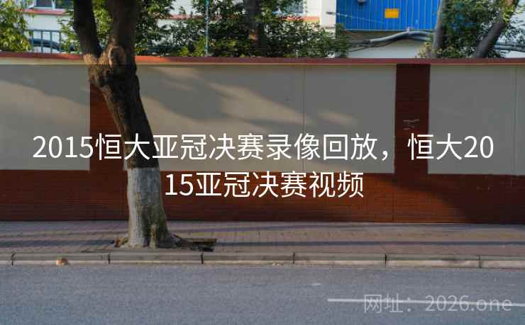 2015恒大亚冠决赛录像回放，恒大2015亚冠决赛视频