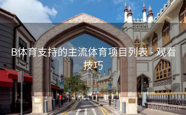 B体育支持的主流体育项目列表 - 观看技巧