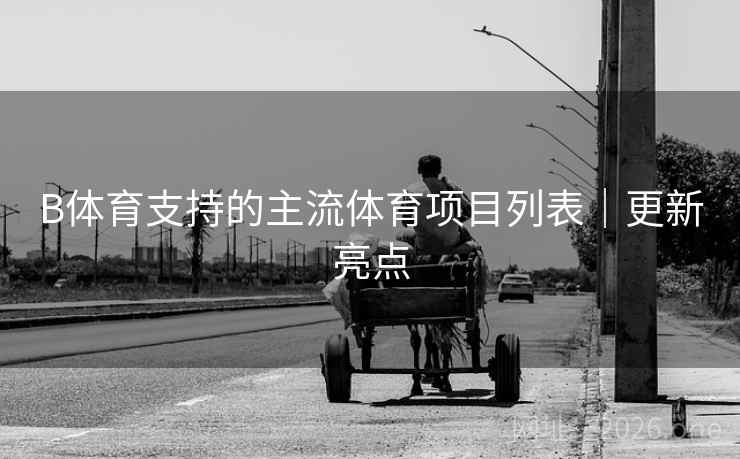 B体育支持的主流体育项目列表｜更新亮点