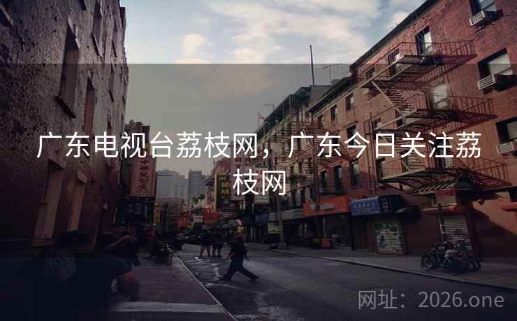 广东电视台荔枝网，广东今日关注荔枝网
