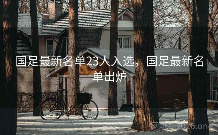 国足最新名单23人入选，国足最新名单出炉