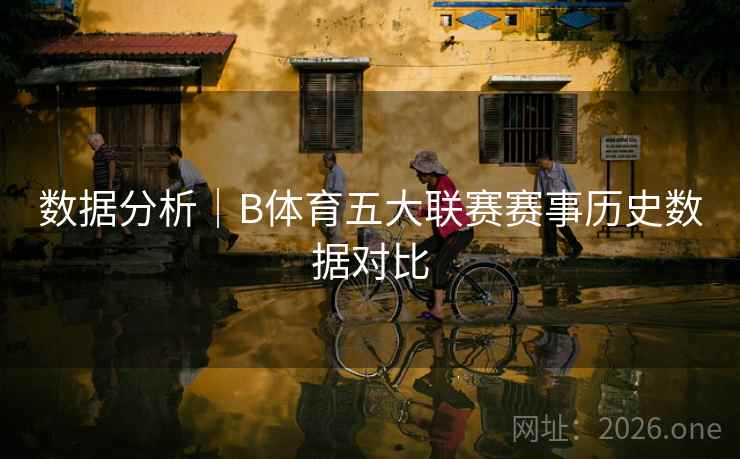 数据分析｜B体育五大联赛赛事历史数据对比