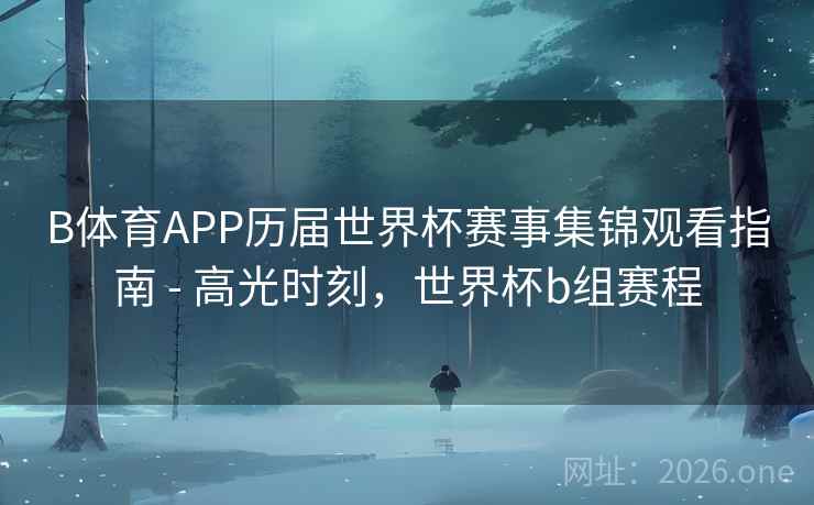 B体育APP历届世界杯赛事集锦观看指南 - 高光时刻，世界杯b组赛程