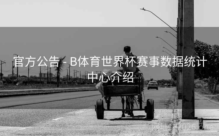 官方公告 - B体育世界杯赛事数据统计中心介绍