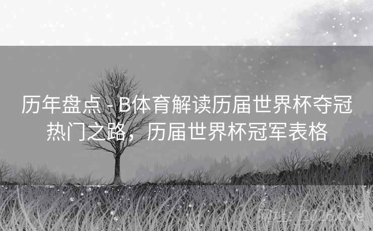 历年盘点 - B体育解读历届世界杯夺冠热门之路，历届世界杯冠军表格
