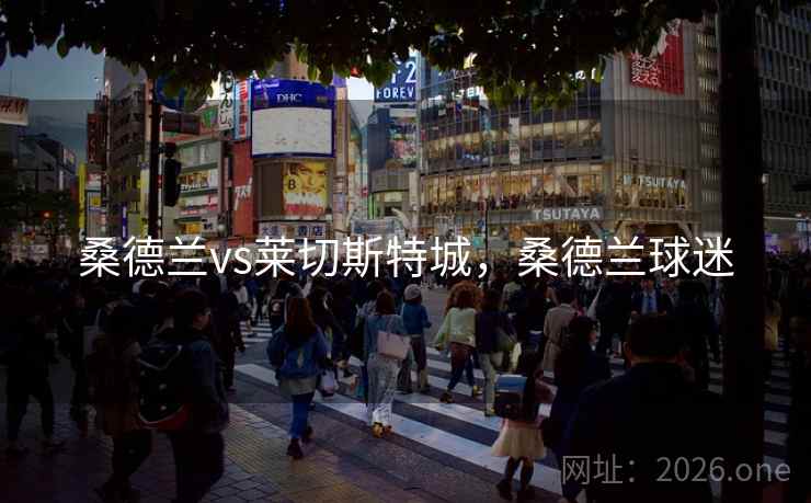 桑德兰vs莱切斯特城，桑德兰球迷