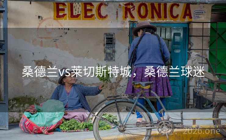 桑德兰vs莱切斯特城，桑德兰球迷