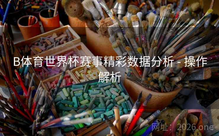 B体育世界杯赛事精彩数据分析 - 操作解析