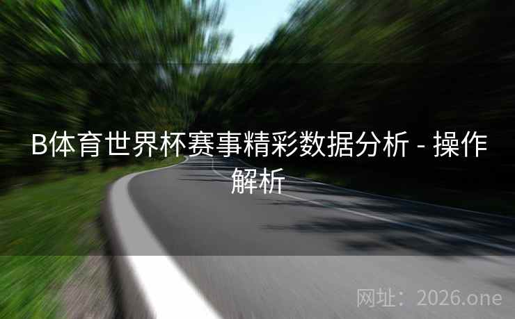 B体育世界杯赛事精彩数据分析 - 操作解析