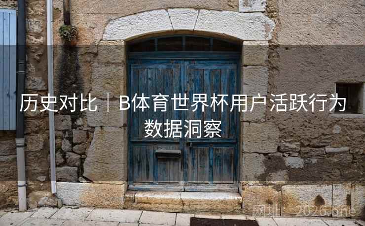 历史对比｜B体育世界杯用户活跃行为数据洞察