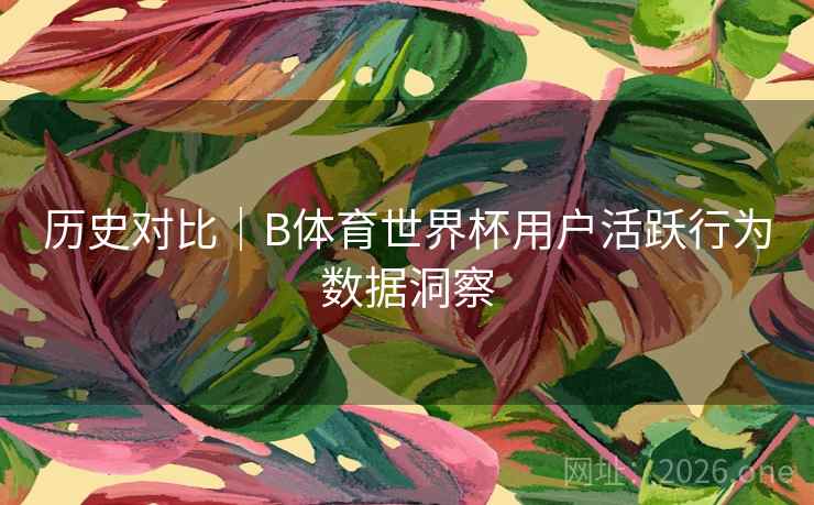 历史对比｜B体育世界杯用户活跃行为数据洞察