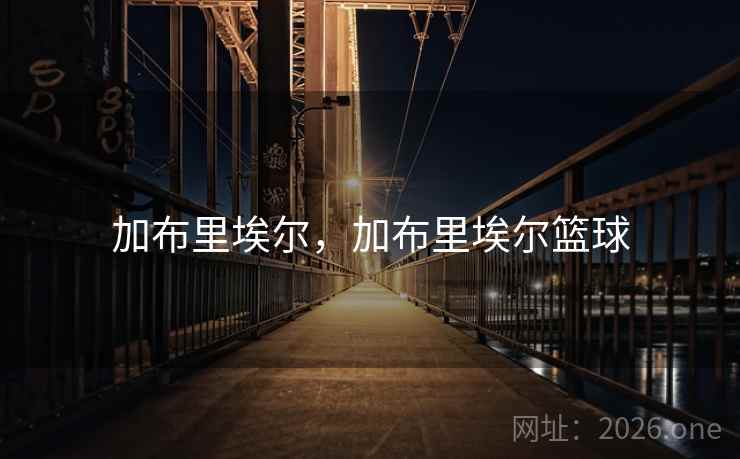 加布里埃尔，加布里埃尔篮球