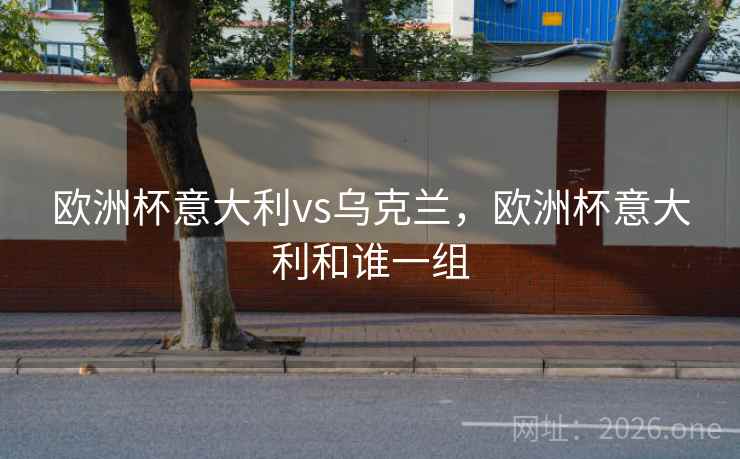 欧洲杯意大利vs乌克兰，欧洲杯意大利和谁一组